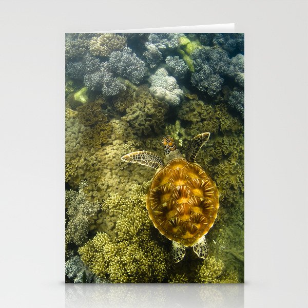 Turtle reef launch Stationery Cards