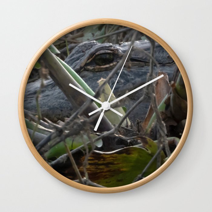 Alligator Concealed in Brush on Bank of Swamp Wall Clock