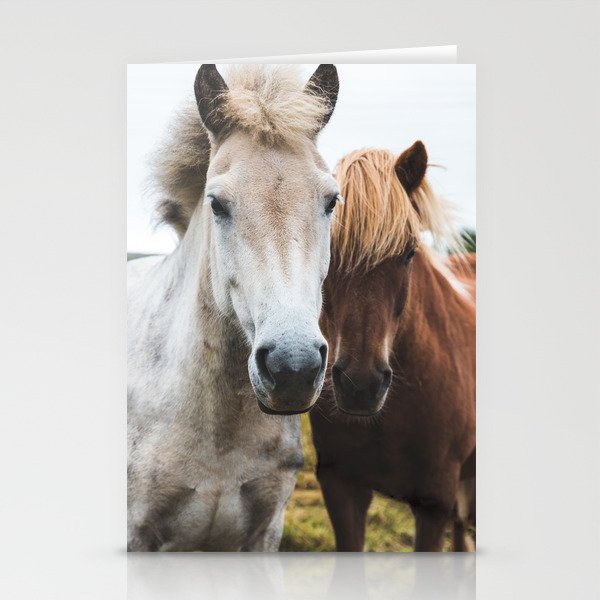 Horses Stationery Cards