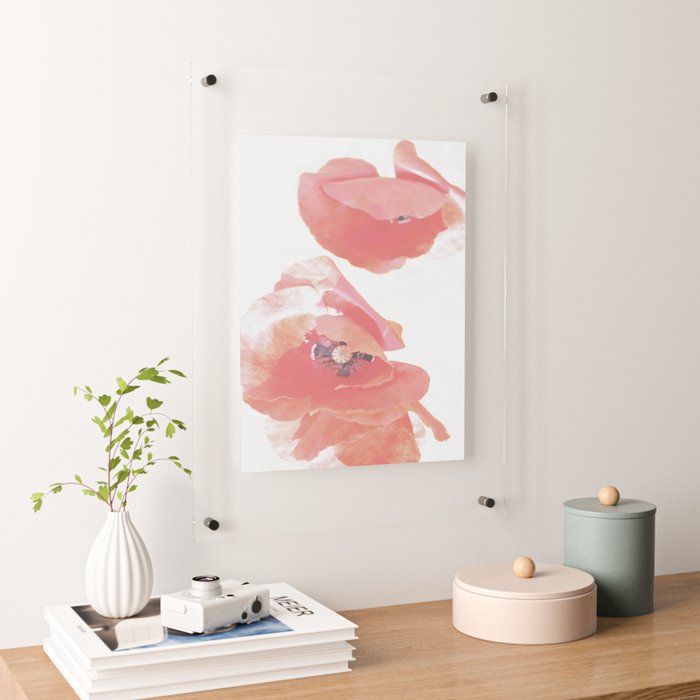 Society6 Floating Acrylic Print Pastel Poppies by ARTbyJWP - Black furniture floral wall decor