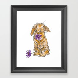 Bunny Rabbit Framed Art Print