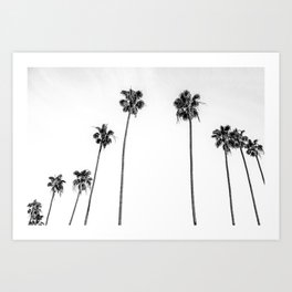 Black + White Palms Art Print | Cactus, Beachhouse, Beach, Landscape, Modern, Chic, Black And White, Horizontal, Monochrome, Travel 