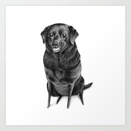 Black Labrador Art Print