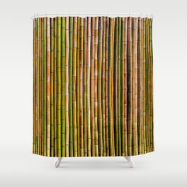 Bamboo fence, texture Shower Curtain
