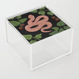 Charmed in Charcoal Rose Acrylic Box