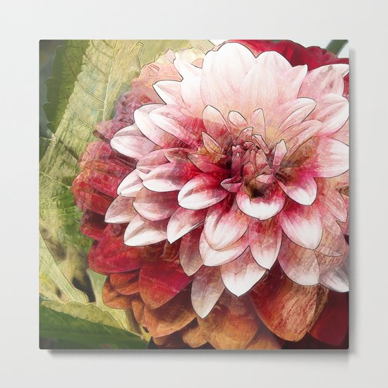 Dahlia_2015_0603 Metal Print