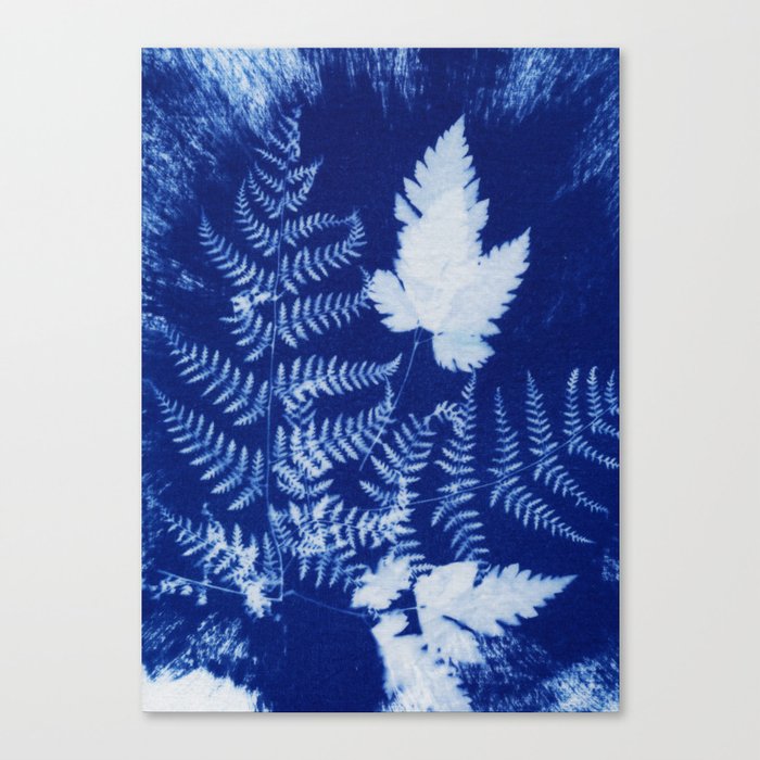 Cyanotype No. 3 Canvas Print