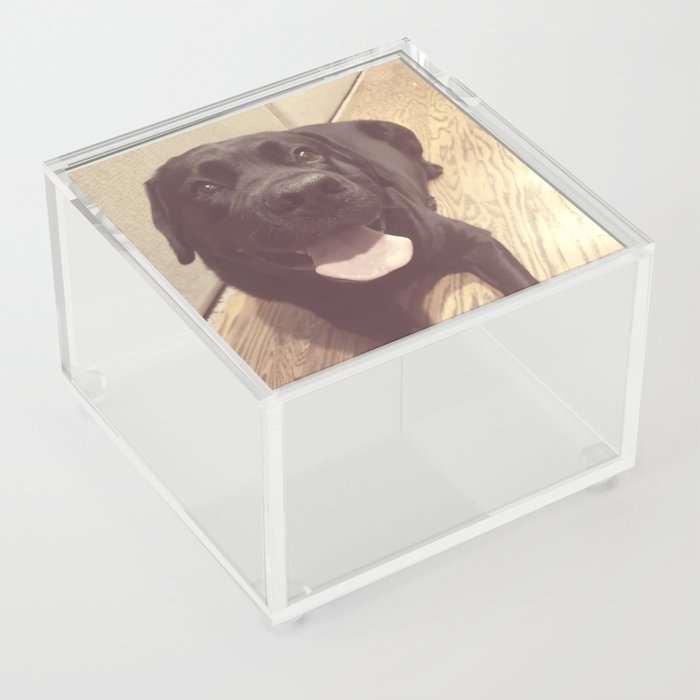 Onyx the Dog Classic Acrylic Box
