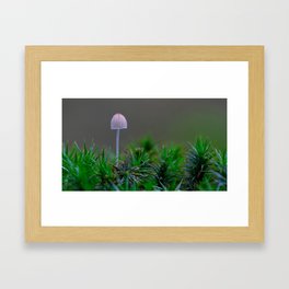 sweet little mushroom Framed Art Print