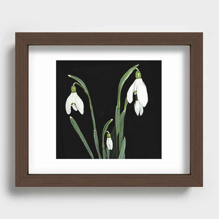 Snowdrops artwork by Berglind Jewellery Design. Recessed Framed Print