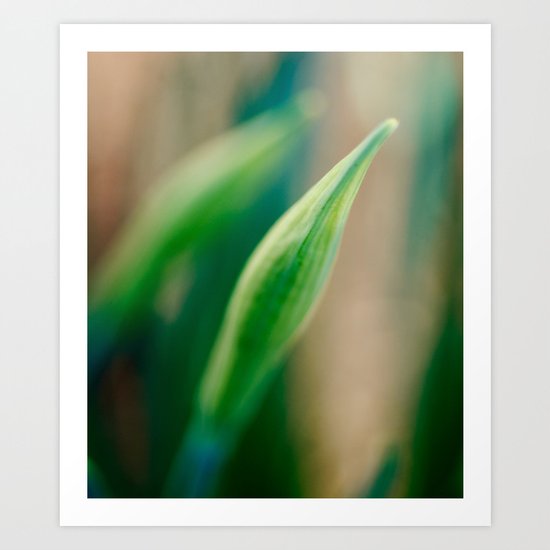 Delicate Art Print
