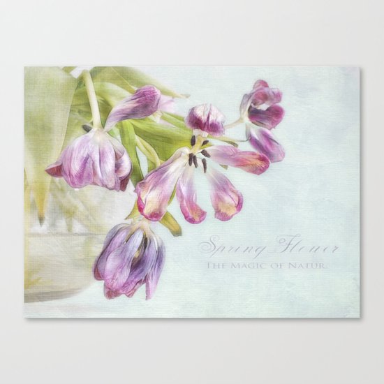 love tulips Canvas Print
