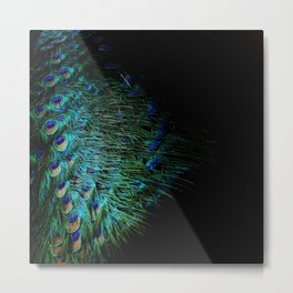Peacock Details Metal Print | Black, Tale, Feather, Animal, Macro, Beautiful, Bird, Abstract, Wings, Photo 