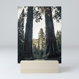 Twin giant redwoods / sequoias Pacific Coast California nature color landscape photograph / photography Mini Art Print
