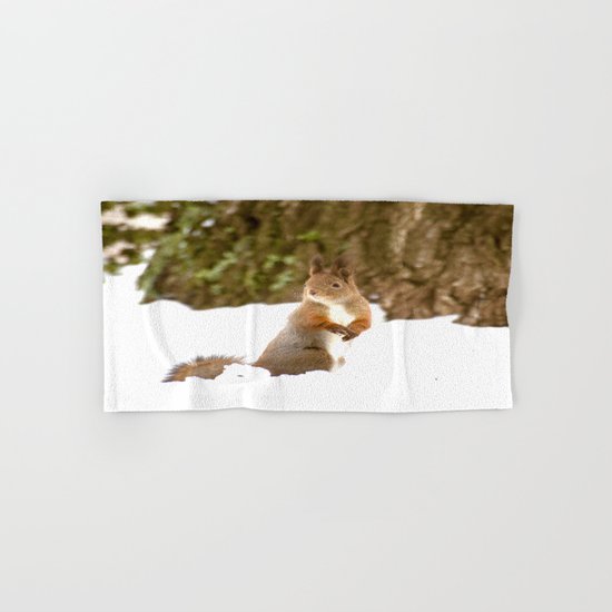 Cute Squirrel In The Forest Hand & Bath Towel