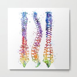 Spine Watercolor Anatomy Drawing Metal Print