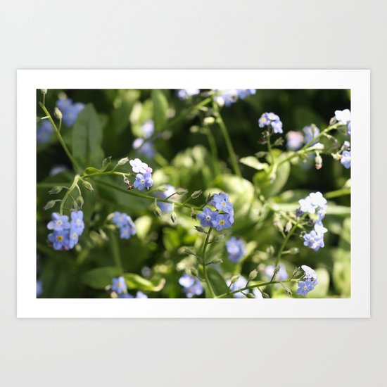 Forget-me-nots Art Print