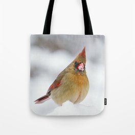 Female Cardinal in The Snow Tote Bag