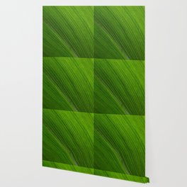 Leaf 32 Wallpaper