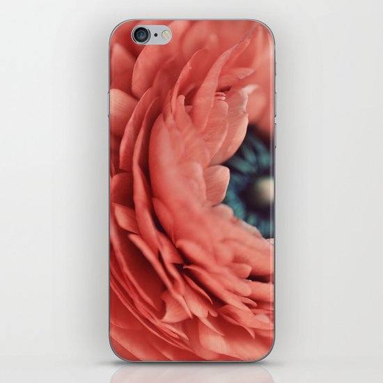 apricot iPhone & iPod Skin