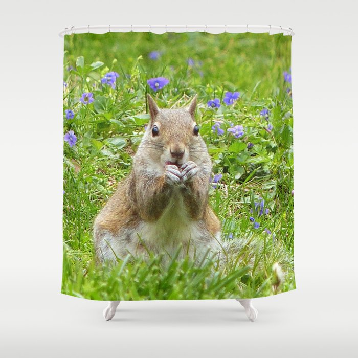 Squirrel Amongst Wild Violets Shower Curtain
