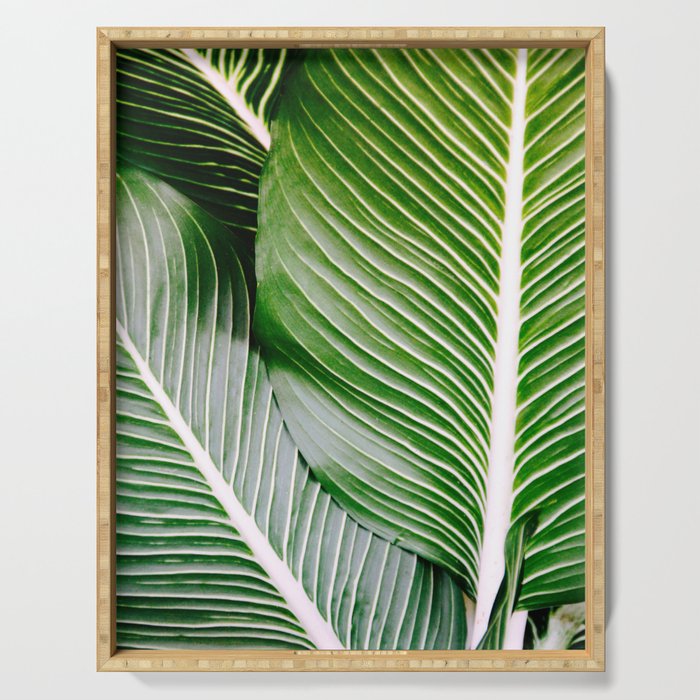 Big Leaves - Tropical Nature Photography Serving Tray