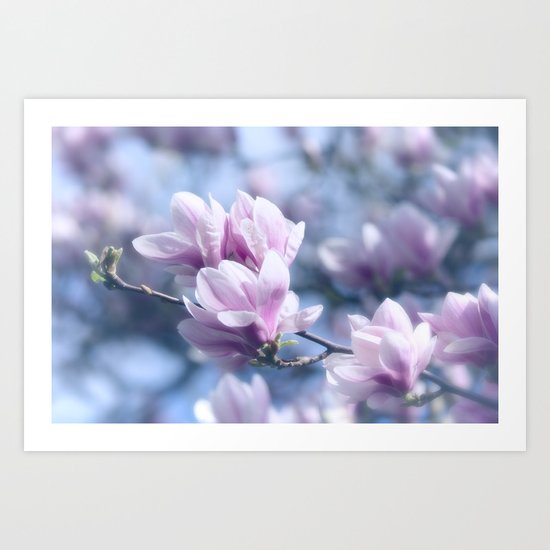 Magnolia beauty, patterns of nature Art Print
