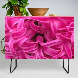 Pink Hyacinth  Credenza