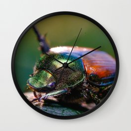 Beetle Yoga. Japanese Scarab Beetle Macro Photograph Wall Clock