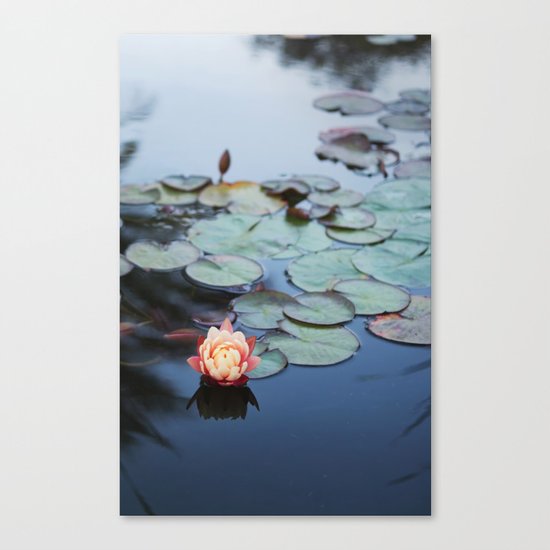 WATER LILY Canvas Print