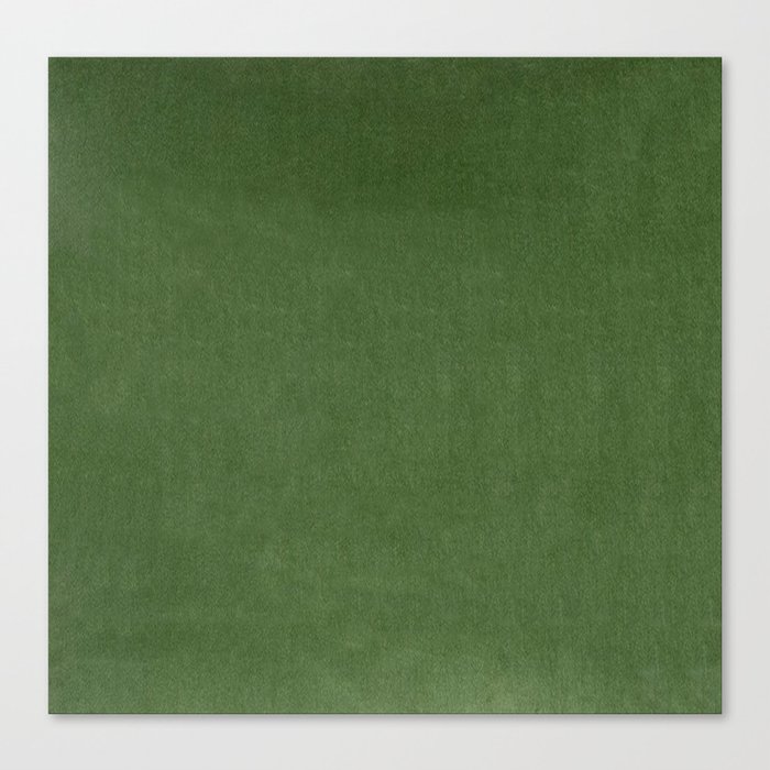 Sage Green Velvet texture Canvas Print