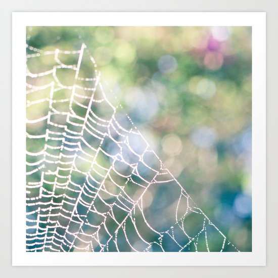 Spotted Web Art Print