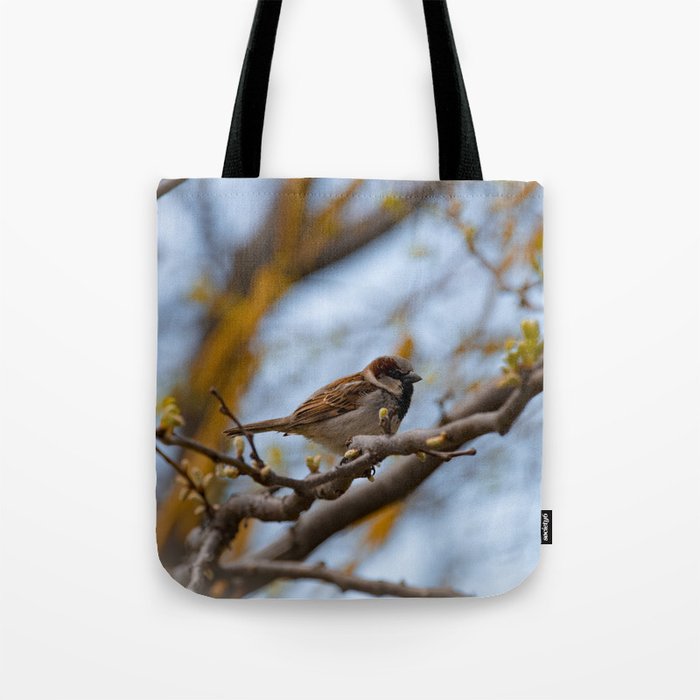 House Sparrow Tote Bag