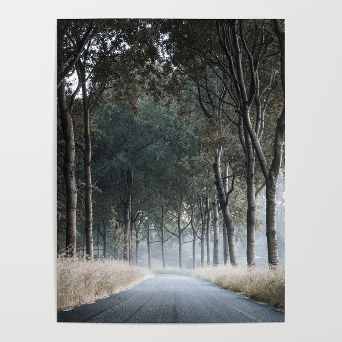 Winding Countryside Road Through Tree Alley Holland Poster