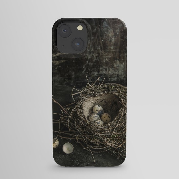 Forgotten nest with eggs iPhone Case