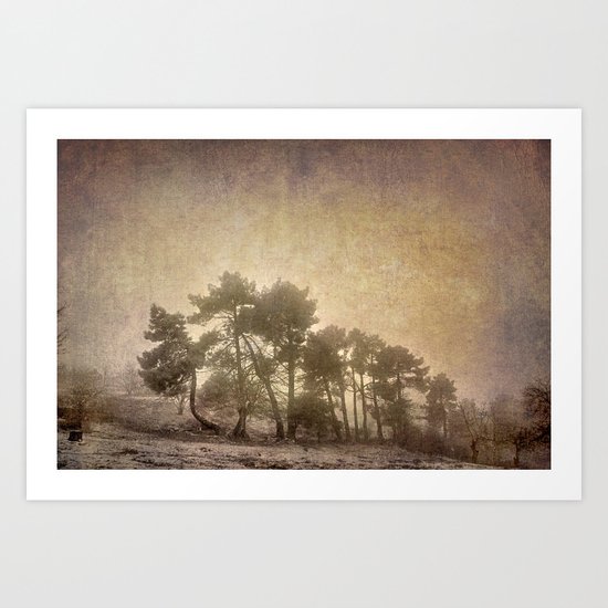 the curved tree Art Print