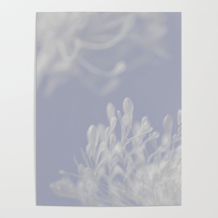 Abstract Flower Soft Blue Art Print Poster