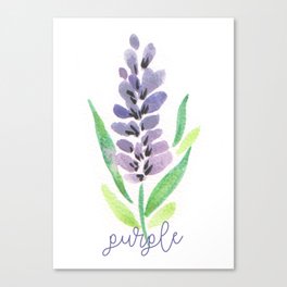Purple flowers Canvas Print