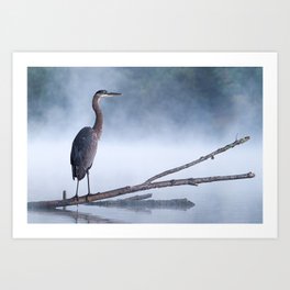 Great Blue Heron in the Mist Art Print