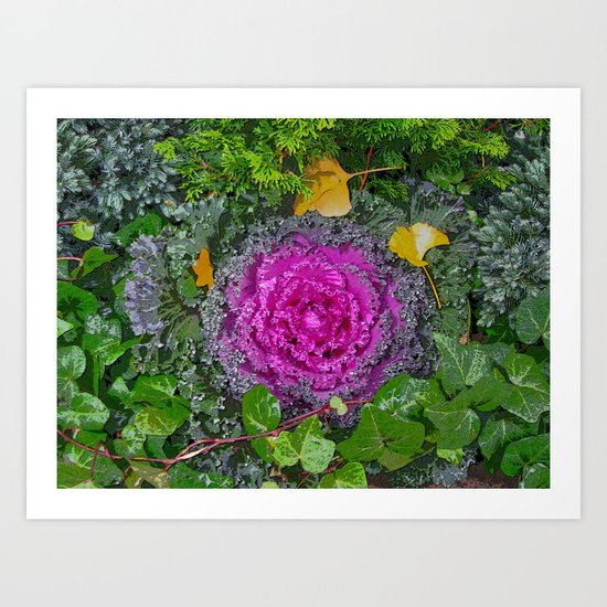 Kale with Autumn Leaves Art Print