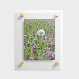 Don't Blow It! Floating Acrylic Print