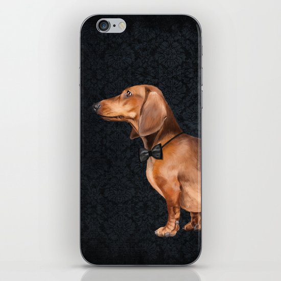 Elegant dachshund. iPhone & iPod Skin