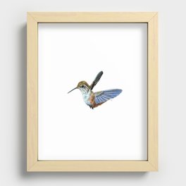 Little Hummingbird Recessed Framed Print