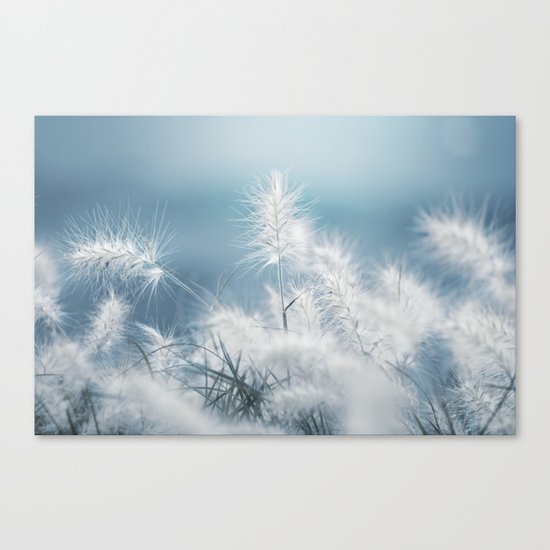 the art of a soft landing Canvas Print
