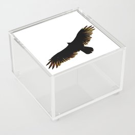 Turkey Vulture Acrylic Box