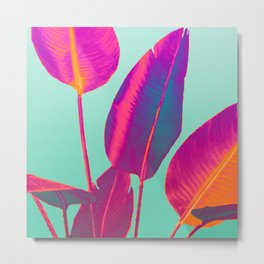 Big Colorful Strelizia Leaves - Artwork Graphic Design Metal Print | Abstract, Fantasy, Graphic, Leaf, Drawing, Leaves, Floral, Flowers, Pattern, Graphicdesign 