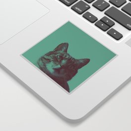 Staring cat Sticker