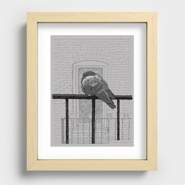 Winter Pigeon Recessed Framed Print