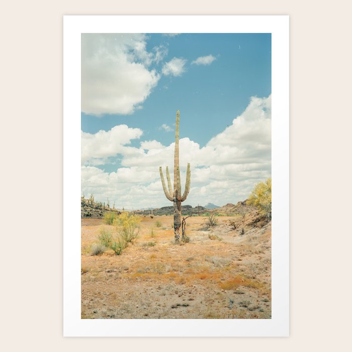 Old West Arizona Art Print