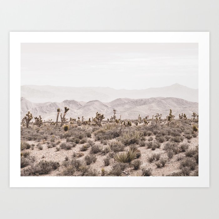 Sierra Nevada Mojave // Desert Landscape Blush Cactus Mountain Range Las Vegas Photography Art Print